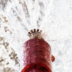Deluge Fire Sprinkler System versus Pre-Action Fire Sprinkler System