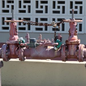 Inspection Sprinkler Backflow