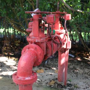 Fire Sprinkler Backflow Preventer